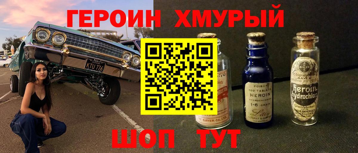 ГЕРОИН хмурый Бердск