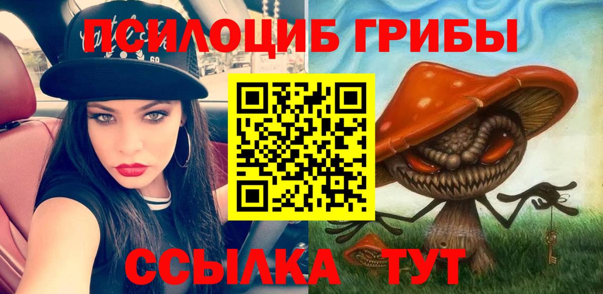 Бердск  магазин  наркотиков  Вход с VPN  Псилоцибиновые грибы Psilocybine cubensis 