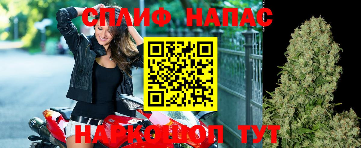 Конопля SATIVA & INDICA Бердск